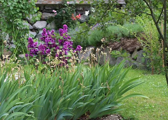 Apartamento Birgla *