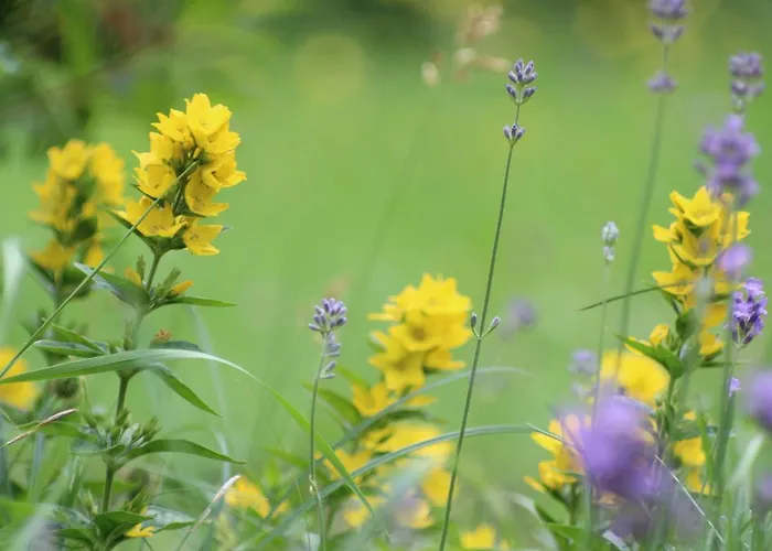 Apartamento Birgla Ramsau im Zillertal