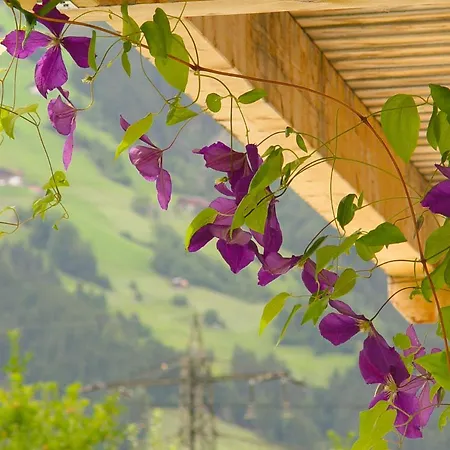 Apartamento Birgla